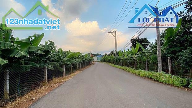 Bán đất mặt tiền đường nhựa hơn 1ha xã Bàu Hàm Huyện Trảng Bom giá chỉ 13,5tỷ