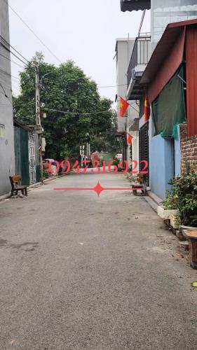 Đường thông ô tô tránh, sát hồ điều hòa công viên Kim Chung, Đông Anh. Hơn 6 tỷ - 3