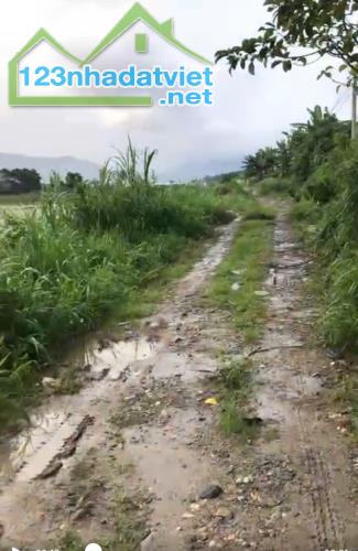 Đất xào giá rẻ Lạc Xuân – Đơn Dương - 1