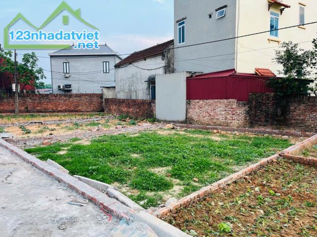 Chính Chủ bán đất Xuân Đồng, Tân Minh 80m2 full thổ cư ô tô ngủ đất nhỉnh 2 tỷ xíu - 2