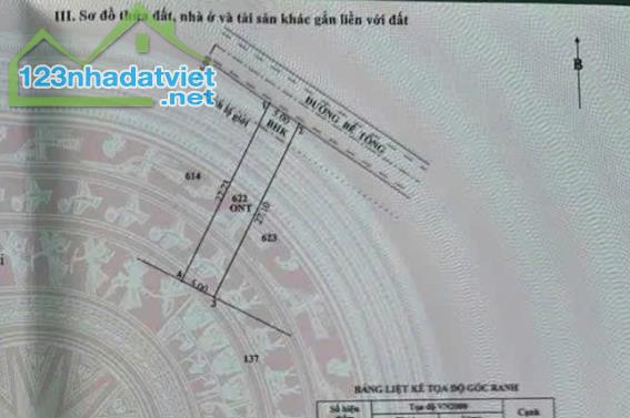 CHÍNH CHỦ! 120M² FULL THỔ – MT 5M Đ.LÊ THỊ SIÊNG – TÂN THÔNG HỘI–500 TRIỆU!!! - 3