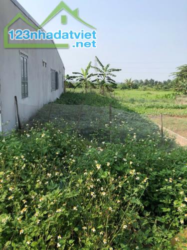 Bán đất Minh Tân - Kiến Thụy - Hải Phòng - 4