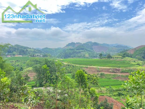 Bán 3330M_400M thổ cư đất view thung lũng ruộng bậc thang siêu đẹp_Cao Phong Hoà Bình_1,x
