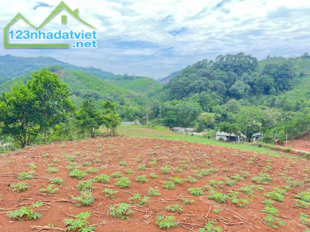 Bán 3330M_400M thổ cư đất view thung lũng ruộng bậc thang siêu đẹp_Cao Phong Hoà Bình_1,x - 1