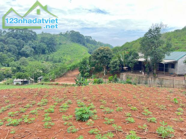 Bán 3330M_400M thổ cư đất view thung lũng ruộng bậc thang siêu đẹp_Cao Phong Hoà Bình_1,x - 2