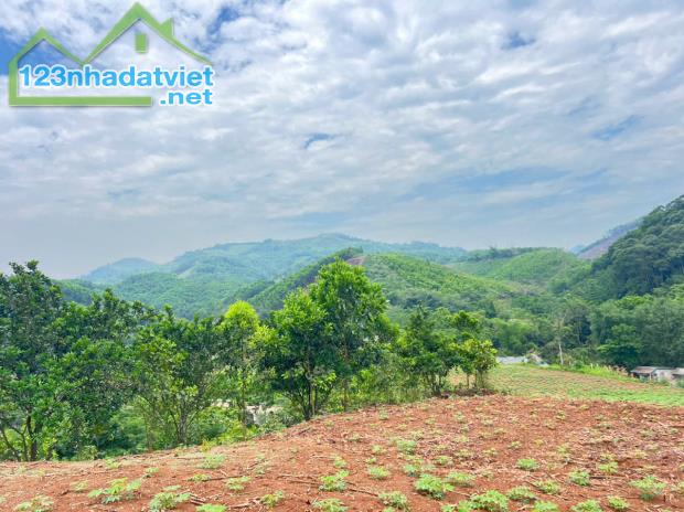 Bán 3330M_400M thổ cư đất view thung lũng ruộng bậc thang siêu đẹp_Cao Phong Hoà Bình_1,x - 3