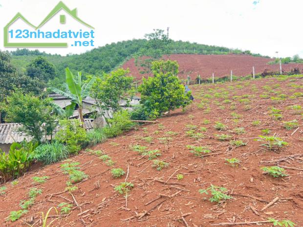 Bán 3330M_400M thổ cư đất view thung lũng ruộng bậc thang siêu đẹp_Cao Phong Hoà Bình_1,x - 4