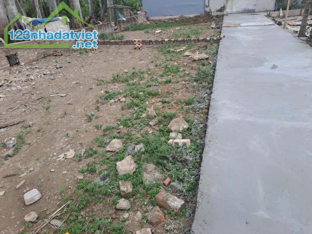 Bán đất tại ngõ 66 Kiều Hạ, Hải An, Hải Phòng, 42m2, 1.390 tỷ VND. - 3