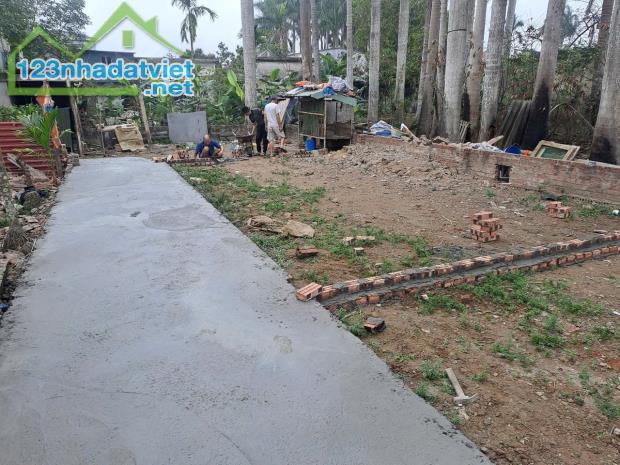 Bán đất tại ngõ 66 Kiều Hạ, Hải An, Hải Phòng, 42m2, 1.390 tỷ VND. - 2