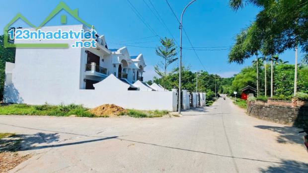 Lô Đất Mặt Tiền Kinh Doanh Đường 16,5m Sử Hy Nhan Lê Ngô Cát - 69 lê Ngô Cát Trục Mặt tiền - 2