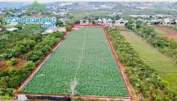 gửi bán lô đất lớn, ngay sân bay Liên Khương - Đà Lạt 8600m2 giá rẻ sock bất ngờ