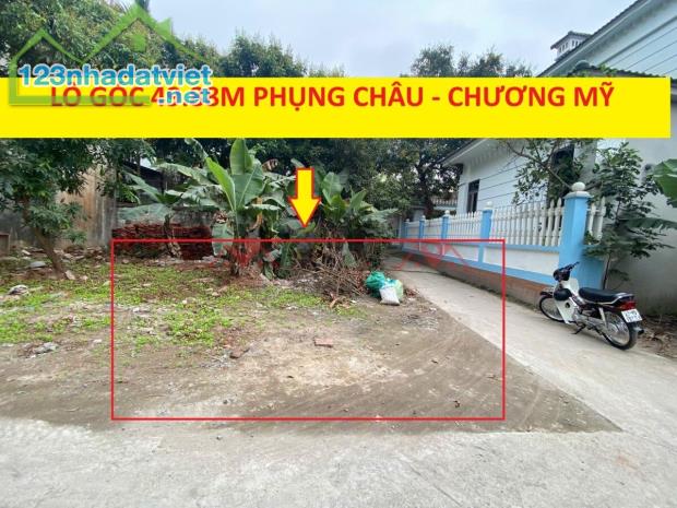 CHÍNH CHỦ CẦN TIỀN BÁN LÔ ĐẤT 49,88M ẠI PHỤNG CHÂU-CHƯƠNG MỸ-HÀ NỘI