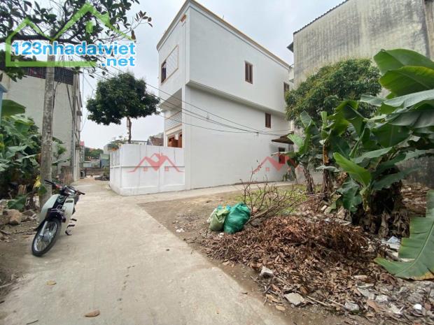 CHÍNH CHỦ CẦN TIỀN BÁN LÔ ĐẤT 49,88M ẠI PHỤNG CHÂU-CHƯƠNG MỸ-HÀ NỘI - 1