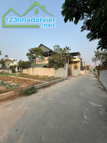 Bán đất Thư Phú – Thường Tín – Hà Nội – 70m² Vuông Vắn, 7 chỗ vào đất – Chỉ 3X Triệu/m² - 1