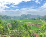 Bán 3330M_400M thổ cư đất view thung lũng ruộng bậc thang siêu đẹp_Cao Phong Hoà Bình_1,x