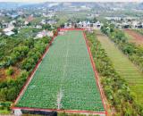 gửi bán lô đất lớn, ngay sân bay Liên Khương - Đà Lạt 8600m2 giá rẻ sock bất ngờ