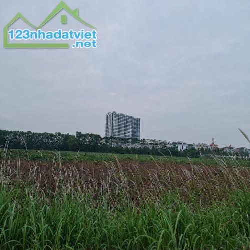 36.6m2 trục đường 25m kinh doanh tại Trâu Quỳ, Gia Lâm, Hà Nội. - 2