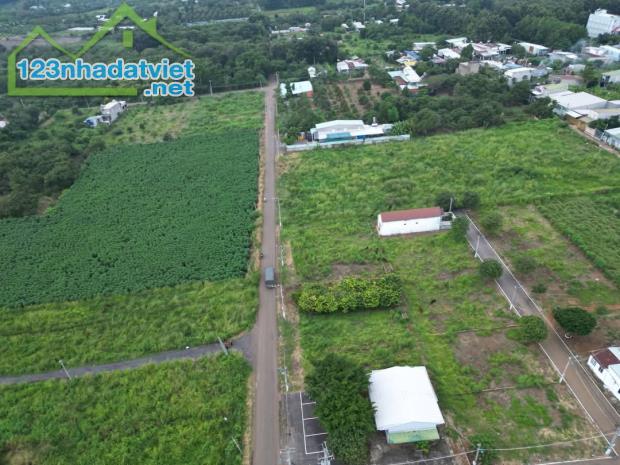 🌟 Đất Thổ Cư Đông Hoà – Giá Sốc Chỉ 900 Triệu, Sổ Riêng! - 3