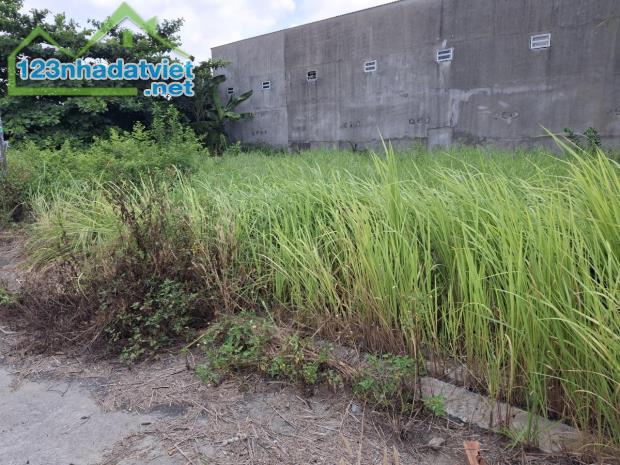 Giảm 1.5tỷ! Đất 204m², Vuông, Đ.6m – Thạnh Xuân 52 Q12 - 3