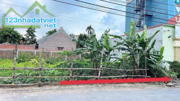 Bán đất Chung cư Tắc Giang - Kiến Thụy - Hải Phòng - 3