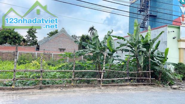 Bán đất Chung cư Tắc Giang - Kiến Thụy - Hải Phòng - 1