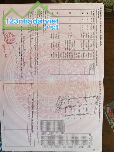 CẦN BÁN NHANH ĐẤT TẠI HƯNG NHƠN, BÌNH CHÁNH, TP. HỒ CHÍ MINH - 2
