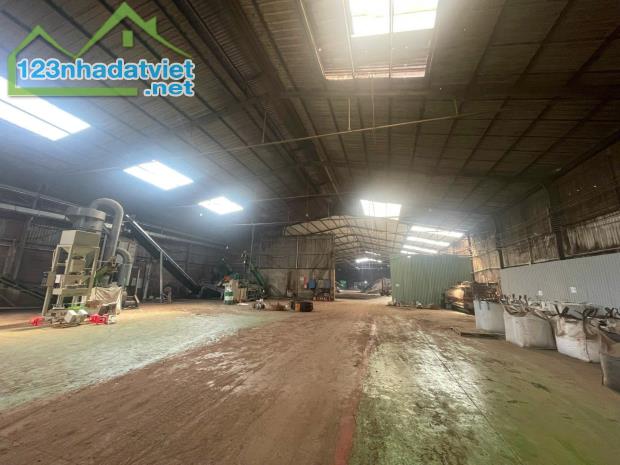 Cho thuê nhà xưởng 5000m2 làm viên nén gỗ, Trảng Bom, Đồng Nai, giá thuê 260tr/tháng.