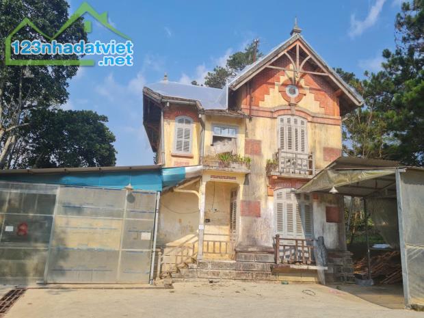 SIÊU PHẨM BIỆT THỰ PHÁP CỔ  VỊ TRÍ TRUNG TÂM  SINH LỜI ĐỈNH CAO - 1