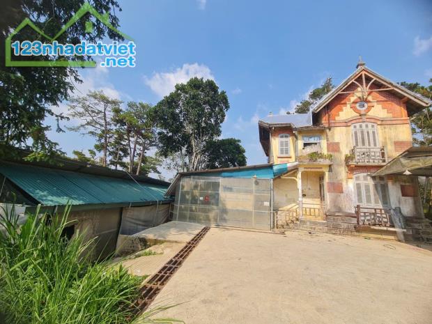 SIÊU PHẨM BIỆT THỰ PHÁP CỔ  VỊ TRÍ TRUNG TÂM  SINH LỜI ĐỈNH CAO - 4