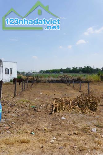 CHÍNH CHỦ BÁN 173M2 ĐẤT MẶT TIỀN SẴN SỔ TẠI HÒA PHÚ-CỦ CHI - 3