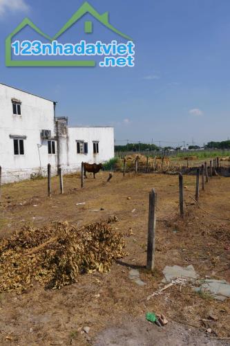 CHÍNH CHỦ BÁN 173M2 ĐẤT MẶT TIỀN SẴN SỔ TẠI HÒA PHÚ-CỦ CHI - 4