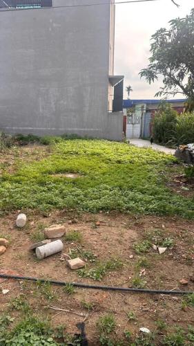 💥LÔ GÓC 98M² TRANG QUAN – AN ĐỒNG – AN DƯƠNG – ĐƯỜNG 5M – GIÁ CHỈ 2,8 TỶ💥