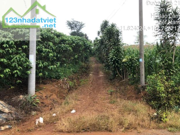 BÁN ĐẤT 2 MẶT TIỀN DT: 286M2, ĐƯỜNG RỘNG 8M, SỔ HỒNG – GIÁ TỐT XÃ LỘC QUẢNG, H.BẢO LÂM, - 4