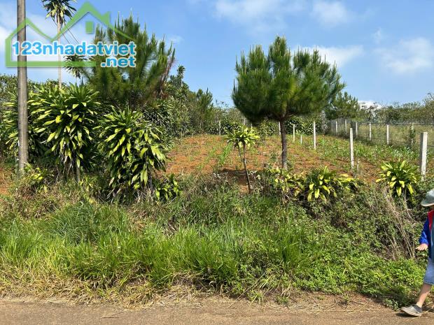 BÁN ĐẤT 2 MẶT TIỀN DT: 286M2, ĐƯỜNG RỘNG 8M, SỔ HỒNG – GIÁ TỐT XÃ LỘC QUẢNG, H.BẢO LÂM, - 3
