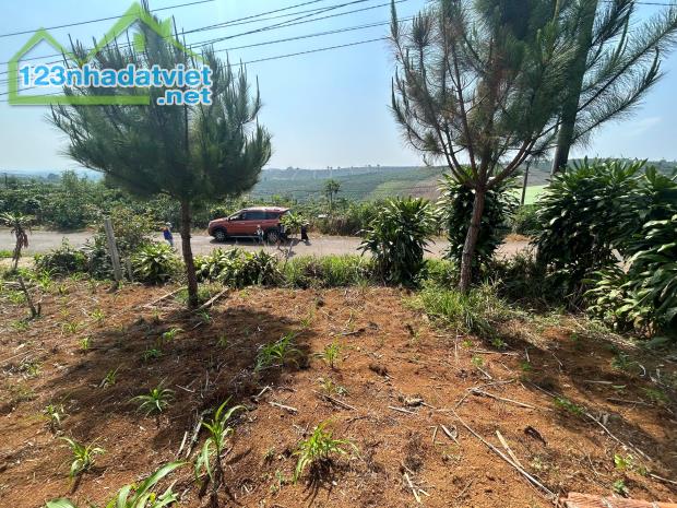 BÁN ĐẤT 2 MẶT TIỀN DT: 286M2, ĐƯỜNG RỘNG 8M, SỔ HỒNG – GIÁ TỐT XÃ LỘC QUẢNG, H.BẢO LÂM, - 2