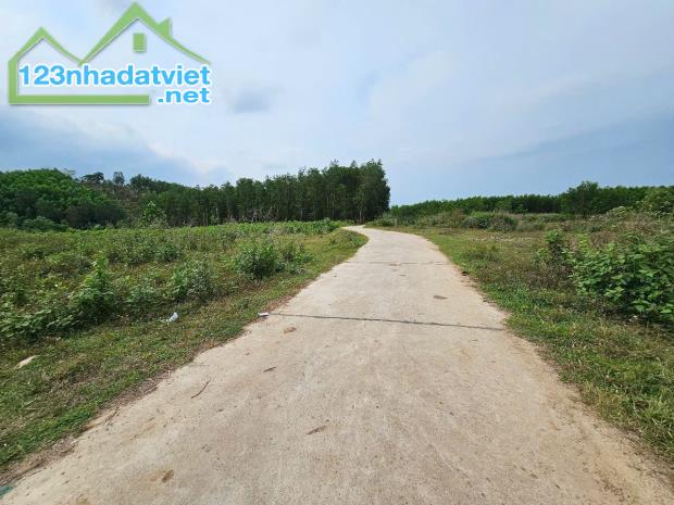 Bán đất vườn Khánh Đông giáp suối Khao gần Tỉnh Lộ 8 - 2
