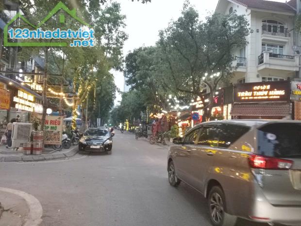 Bán BT đơn lập phố Lê Đức Thọ, Mỹ Đình 2, DT205x4TxMT10m giá 49 tỷ, nhà vượng khí - 1