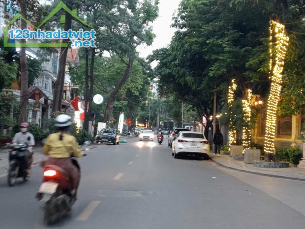 Bán BT đơn lập phố Lê Đức Thọ, Mỹ Đình 2, DT205x4TxMT10m giá 49 tỷ, nhà vượng khí - 2