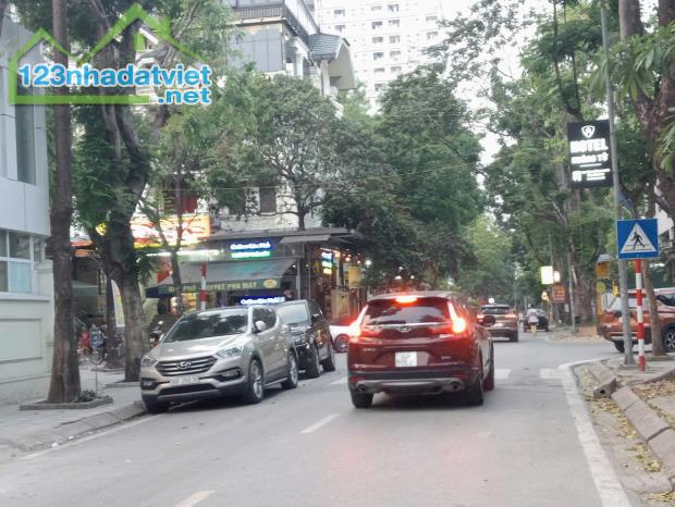 Bán BT đơn lập phố Lê Đức Thọ, Mỹ Đình 2, DT205x4TxMT10m giá 49 tỷ, nhà vượng khí - 3