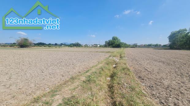 Chỉ 1.05 tỷ 881m2 đất ONT Hẻm Đinh Bộ Lĩnh, Thị xã LaGi giá ngộp sổ riêng - 2