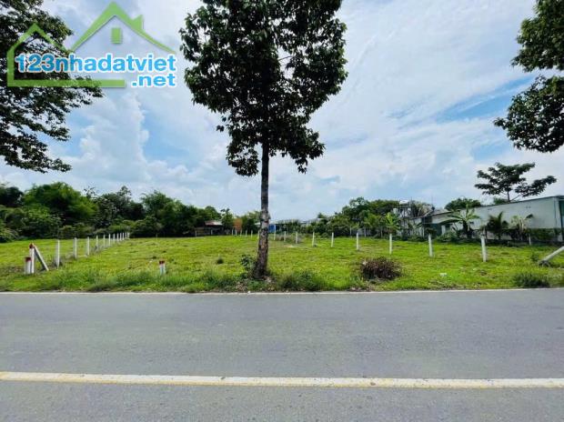 HÀNG HIẾM GIÁ TỐT - BÁN NGAY LÔ ĐẤT MT ĐƯỜNG 177M2 PHƯỚC THẠNH, SHR 620TR - 1