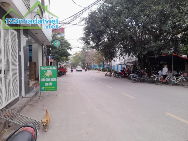 ĐẤT ĐỒNG MAI MẶT ĐƯỜNG ĐỒNG DƯƠNG KINH DOANH - 2