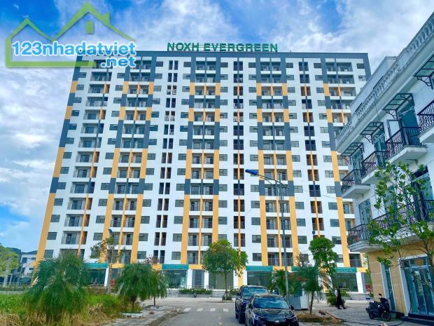 Sốc: Chỉ 135 Triệu Có Ngay Căn Hộ Sổ Đỏ Gần Kcn Tràng Duệ – Hải Phòng - 2