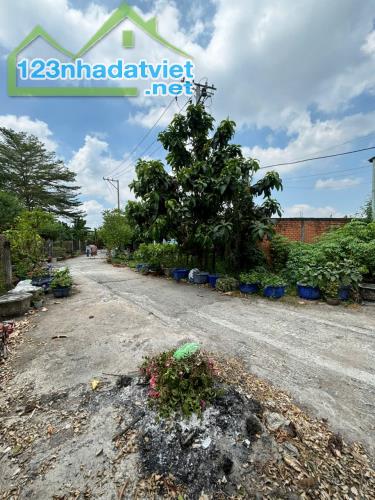 Cần bán nhà đất Mỹ Phú - Thủ Thừa - Long An - 1