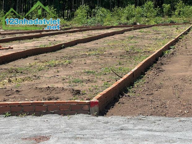 CẦN BÁN GẤP LÔ ĐẤT ĐẸP - AN LINH, PHÚ GIÁO - GIÁ CHỈ 750 TRIỆU - 1