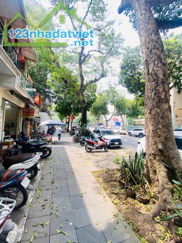 Mặt phố Lê Thánh Tông - Kinh doanh sầm uất - Vỉa hè rộng - 1 sổ 1 chủ. - 2