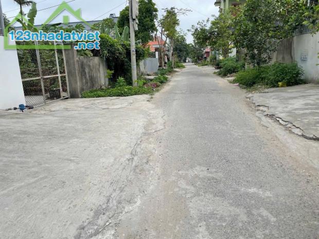 Bán đất Đại Đồng - Kiến Thụy - Hải Phòng - 2