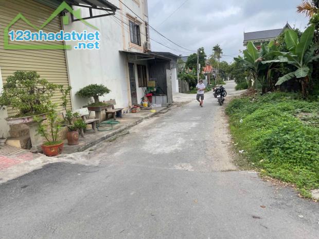 Bán đất Đại Đồng - Kiến Thụy - Hải Phòng - 4
