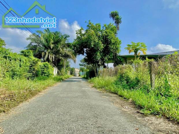 Chủ đất cần ra gấp lô đất full thổ cư thị trấn Củ Chi SHR - 1