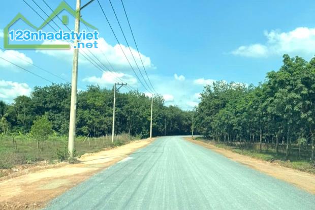 BÁN RẺ (10x56=560m2) ĐẤT THỔ CƯ MẶT TIỀN QL14C VÀO 200M 470 Triệu